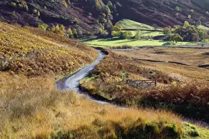 Rural Roads Prints: An autumn view of a gate and winding road through the fern covered hills and fells