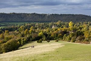 Images Dated 21st October 2010: Autumn view north along the Burford Spur of Box Hill, Surrey HIlls, North Downs
