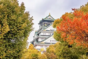 Osaka Prints: Autumnal Foliage framing the Osaka Castle Main Tower in Japan