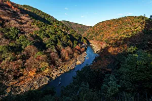 Riverboat Prints: Autumnal forests in Arashiyama of Kyoto, Honshu, Japan, Asia
