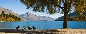Images Dated 8th April 2011: Autumnal Lake Wakatipu at Queenstown, Otago, South Island, New Zealand, Pacific