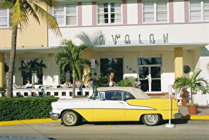 South Beach Prints: The Avalon Hotel