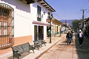 Avenue Prints: Avenida 20 de Noviembre