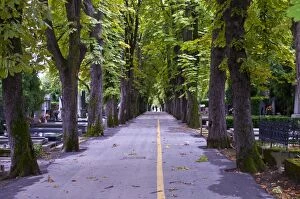 Avenue through a cemetery in Zagreb, Croatia, Europe