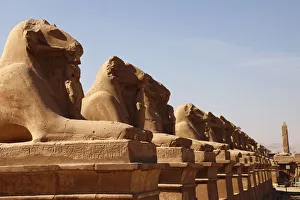 Obelisk Prints: Avenue of Sphinxes, Karnak Temple, UNESCO World Heritage Site, Luxor, Thebes, Egypt