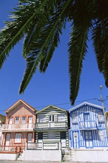 Beira Prints: Averio, Beiras Region