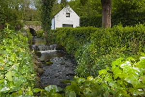 Images Dated 15th May 2006: Avoca, County Wicklow, Leinster, Republic of Ireland (Eire), Europe