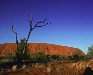 Northern Territory Prints: Ayers Rock at sunrise, Uluru-Kata Tjuta National Park, Northern Territory