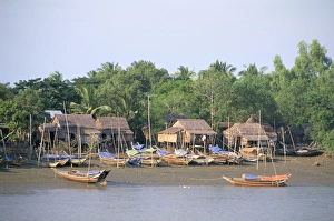 Images Dated 10th March 2005: Ayeyarwaddy (Irrawaddy) river delta, Ayeyarwaddy Division, Myanmar (Burma), Asia
