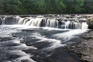 Waterfall Prints: Aysgarth Falls, Yorkshire Dales, Yorkshire, England, United Kingdom, Europe