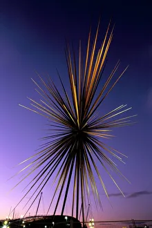 Manchester Prints: B of the Bang, modern steel sculpture, City of Manchester Stadium, Manchester