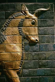 Images Dated 3rd January 2000: Babylonian wall tiles