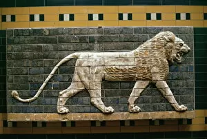 Images Dated 3rd January 2000: Babylonian wall tiles