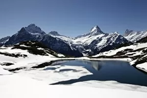 Images Dated 4th June 2010: Bachalpsee at Grindelwald-First and Bernese Alps, Bernese Oberland, Swiss Alps