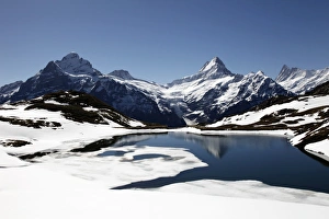 Bernese Alps Prints: Bachalpsee at Grindelwald-First and Bernese Alps, Bernese Oberland, Swiss Alps