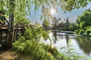 Spree Forest Prints: Backlight in the Harbour of Luebbenau