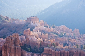 Hoodoos Prints: Backlit sandstone hoodoos in Bryce Amphitheater, Bryce Canyon National Park