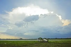 Kumana Prints: Backlit storm cloud over a lagoon (tank) at Kumana National Park