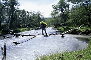 Back Pack Prints: Backpacker crosses log bridge on circuit around the park, Torres del Paine National Park