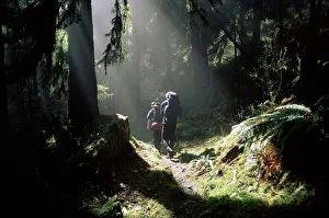Fitness Prints: Backpackers in steamy light