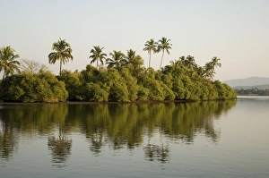 Backwater near Mobor