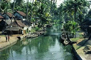 River Bank Collection: The backwaters