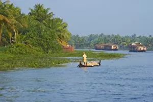 River Bank Collection: Backwaters, Allepey, Kerala, India, Asia