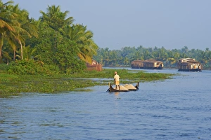 Kerala Prints: Backwaters, Allepey, Kerala, India, Asia
