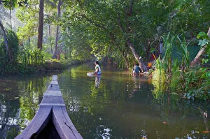 Backwaters, Allepey, Kerala, India, Asia