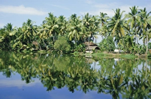 Kumarakom Prints: The backwaters near Kumarakom