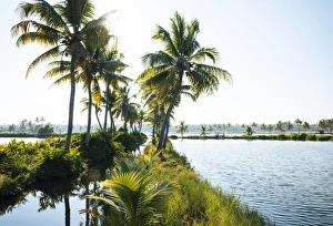 Backwaters near North Paravoor, Kerala, India, South Asia