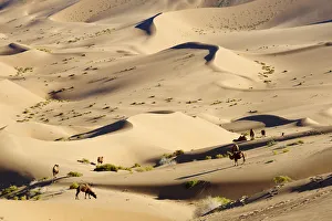 Deserts Prints: Bactrian camels, Badain Jaran Desert, Gobi Desert, Inner Mongolia, China, Asia