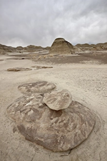 Cloudy Day Prints: Badlands on a cloudy day, San Juan Basin