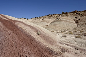 Badlands with maroon color, Capitol Reef National Park, Utah, United States of America, North America
