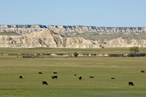 Images Dated 27th September 2007: Badlands National Park, South Dakota, United States of America, North America