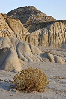 North Dakota Prints: Badlands, Theodore Roosevelt National Park