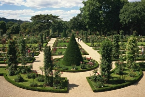 Formal Gardens Prints: Bagatelle rose garden, Bois de Boulogne, Paris, France, Europe