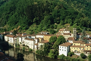 Forestry Prints: Bagni de Lucca