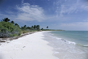 Curving Prints: Bahia Honda Key, the Keys, Florida, United States of America (U