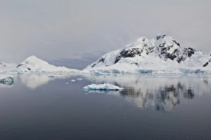 Bahia Paraiso (Paradise Bay), Antarctic Peninsula, Antarctica, Polar Regions