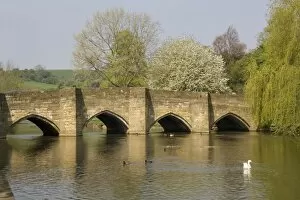 Images Dated 20th April 2011: Bakewell bridge and River Wye, Derbyshire, England, United Kingdom, Europe
