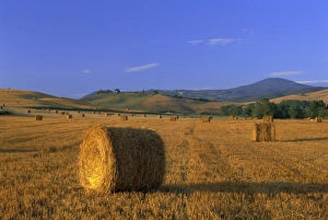 Bales of hay at sunrise