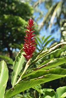 Bali Hyatt Hotel