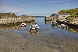 Ulster Prints: Balintoy harbour, near Giants Causeway, County Antrim, Ulster, Northern Ireland
