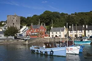 Images Dated 8th August 2006: Ballyhack fishing village, County Wexford, Leinster, Republic of Ireland, Europe