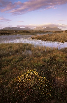 Images Dated 21st January 2000: Ballynahinch Lake and the Twelve Pins