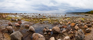 Estonia Prints: Baltic Sea coast with granite boulders on a cloudy day, Estonia, Europe