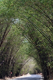 Images Dated 2004 March: 10 Mar 2004
