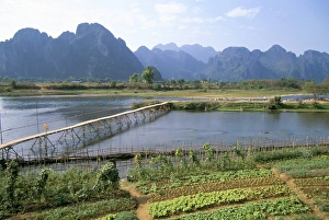 Hill Range Prints: Bamboo bridge