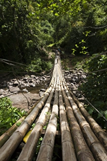 Foot Bridge Prints: Bamboo bridge at Dark View Falls, St. Vincent and The Grenadines, Windward Islands